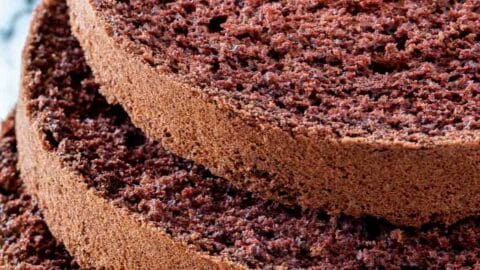 Chocolate Sponge Cake - Joyofbaking.com