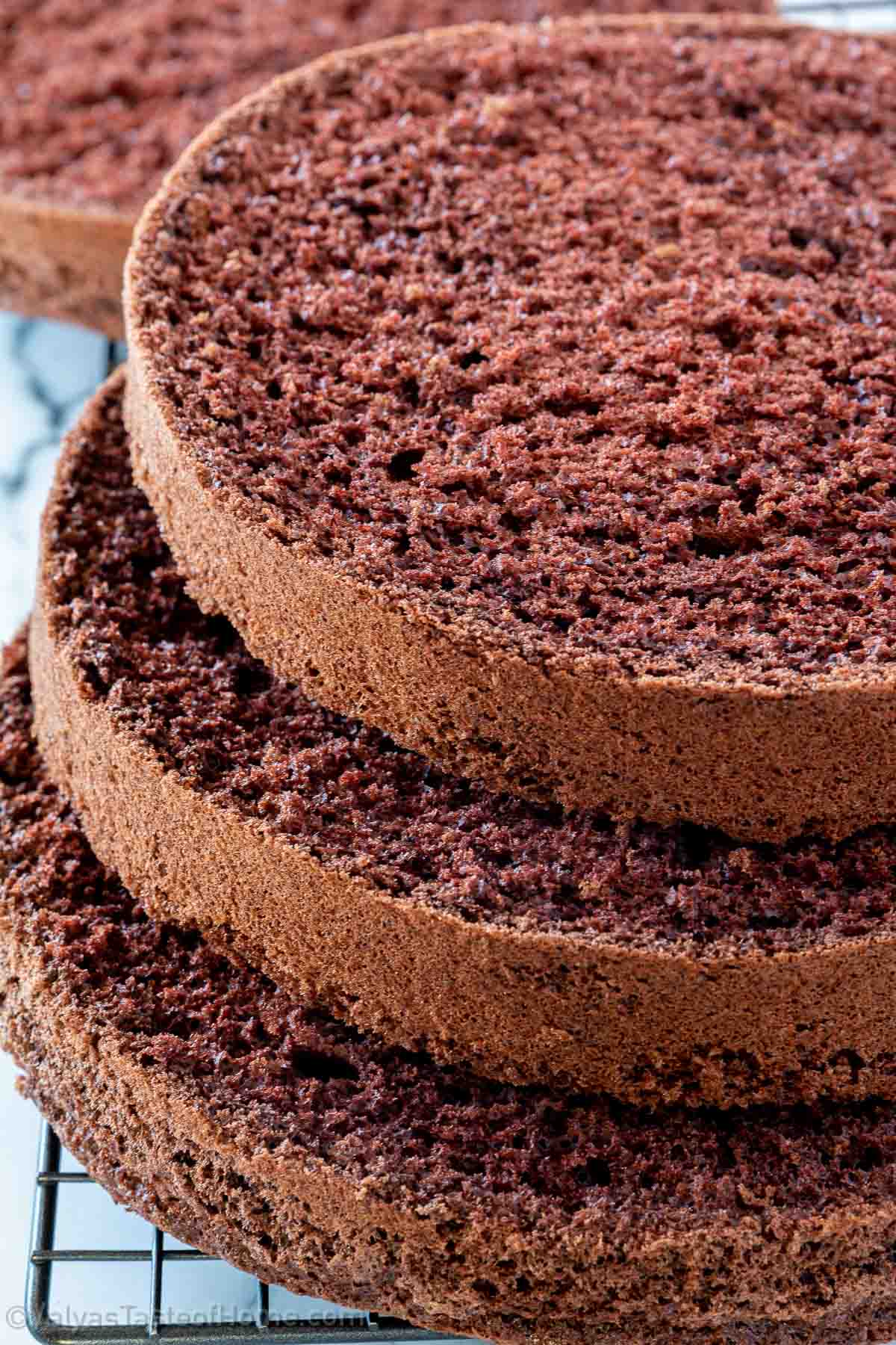 The Best Chocolate Sponge Cake (Faultless Result Every Time)