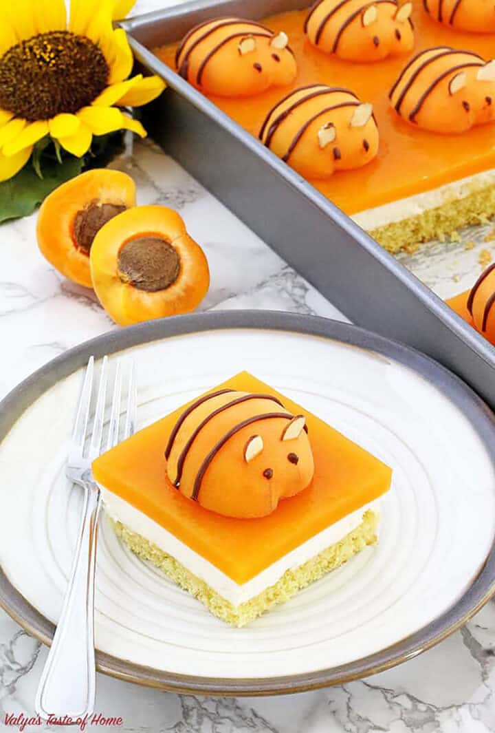 Perfect Bee Cake (with Apricots, Sponge Cake, Jello and Cream)