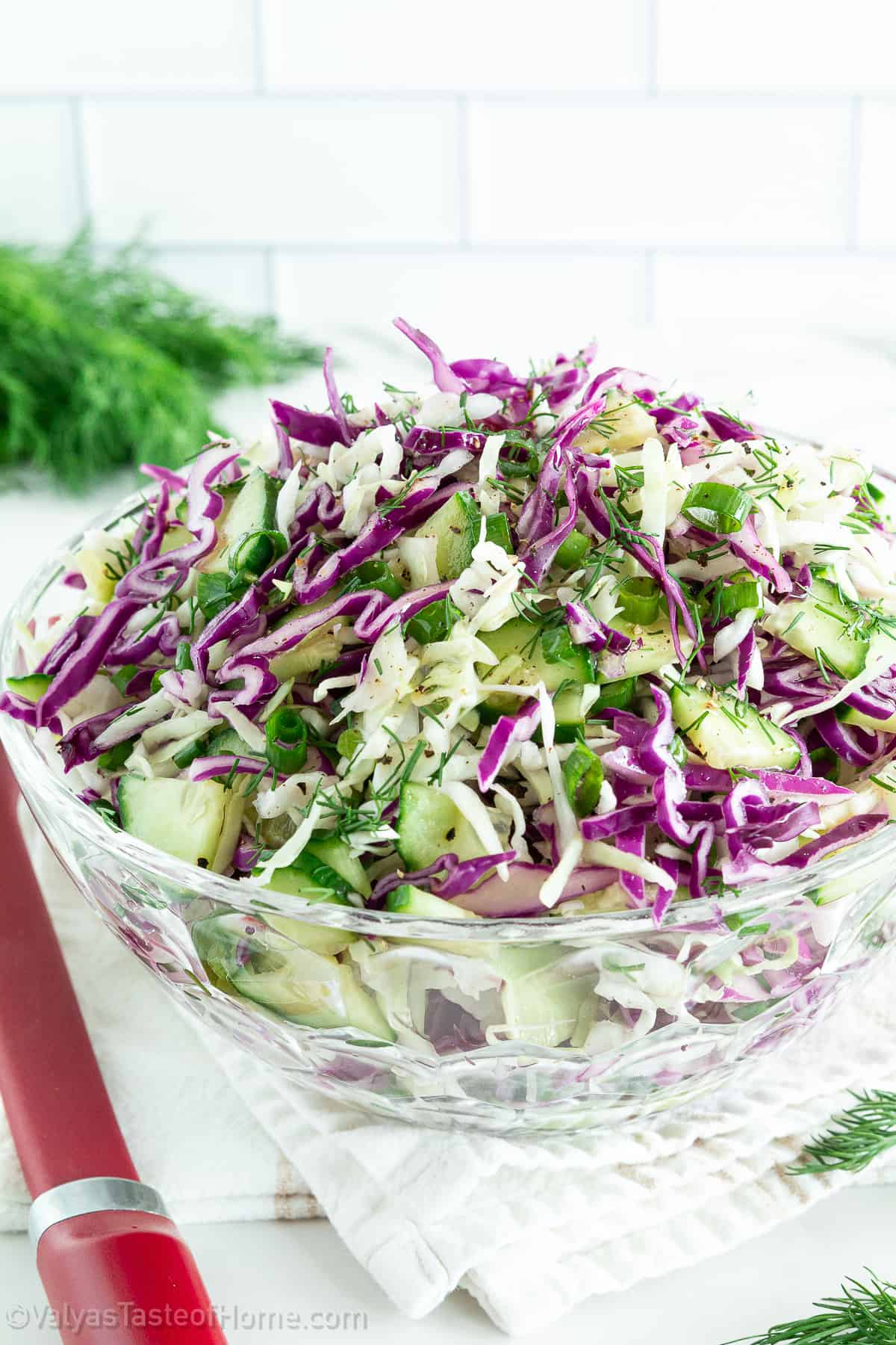 purple cabbage salad